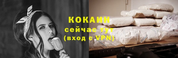 ALPHA-PVP Няндома