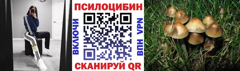 Псилоцибиновые грибы мухоморы  где продают   Солигалич 