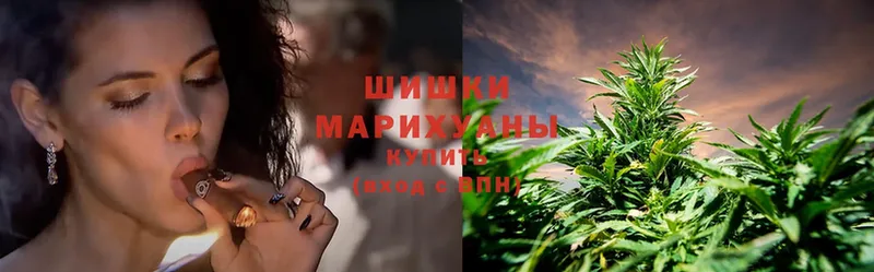 купить наркотик  Солигалич  Бошки Шишки THC 21% 